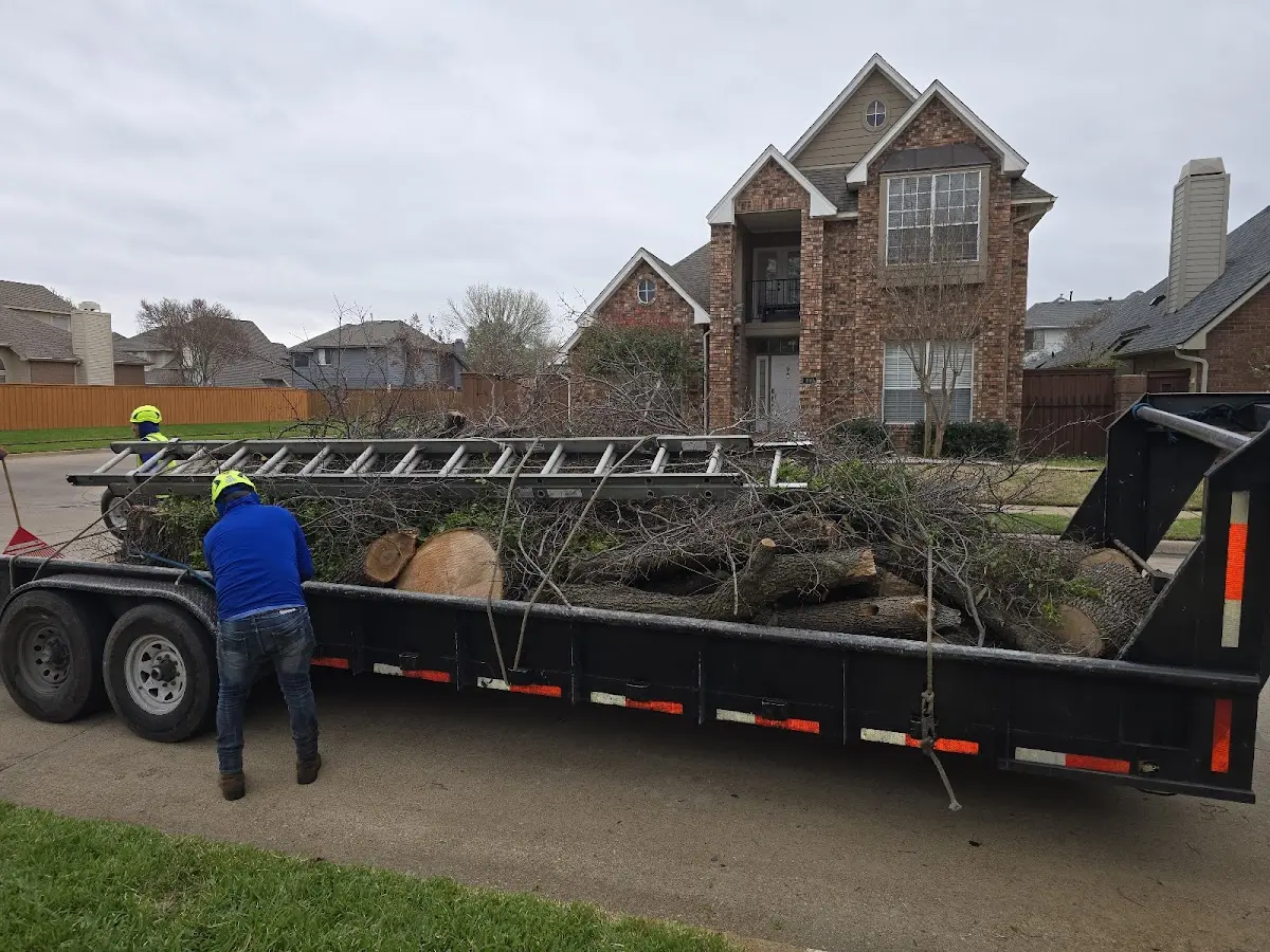 Expert Tree Fertilization with proper safety equipment in Sharpes
